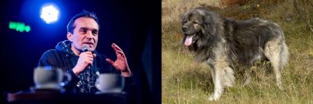 Krausz Tivadar író - fotó Berec Valter - kaukázusi juhászkutya