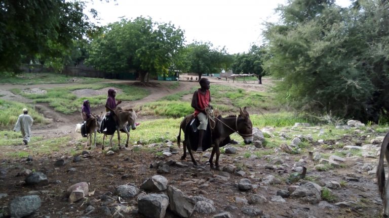 VARÁZSLATOK, JÁRVÁNYOK, MISSZIÓK