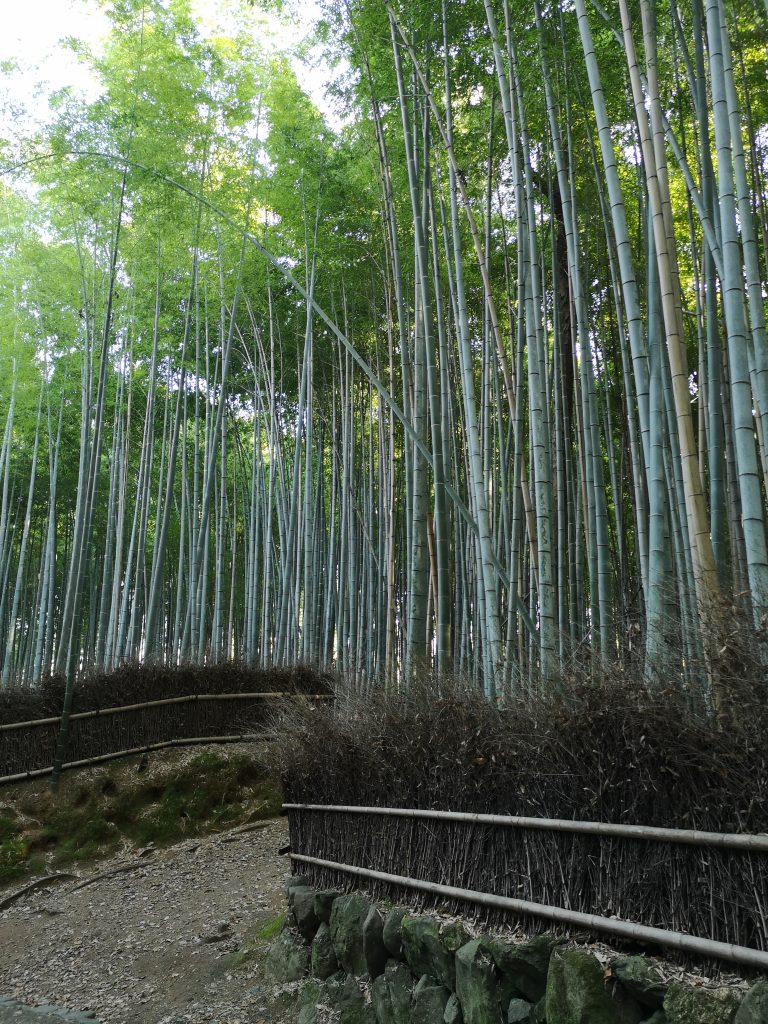 ARASHIYAMAI BAMBUSZERDŐ